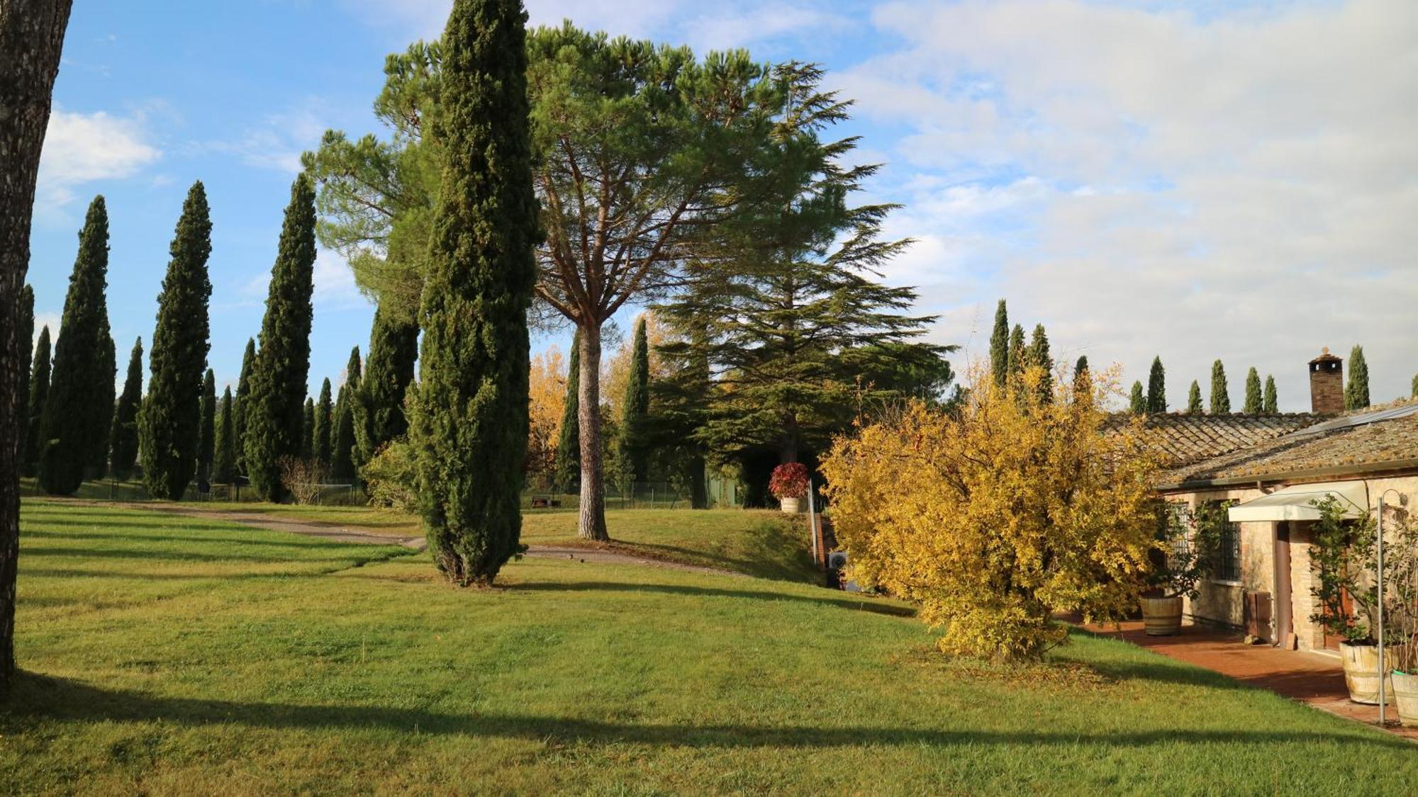 Agriturismo La Sovana Sarteano Exteriör bild
