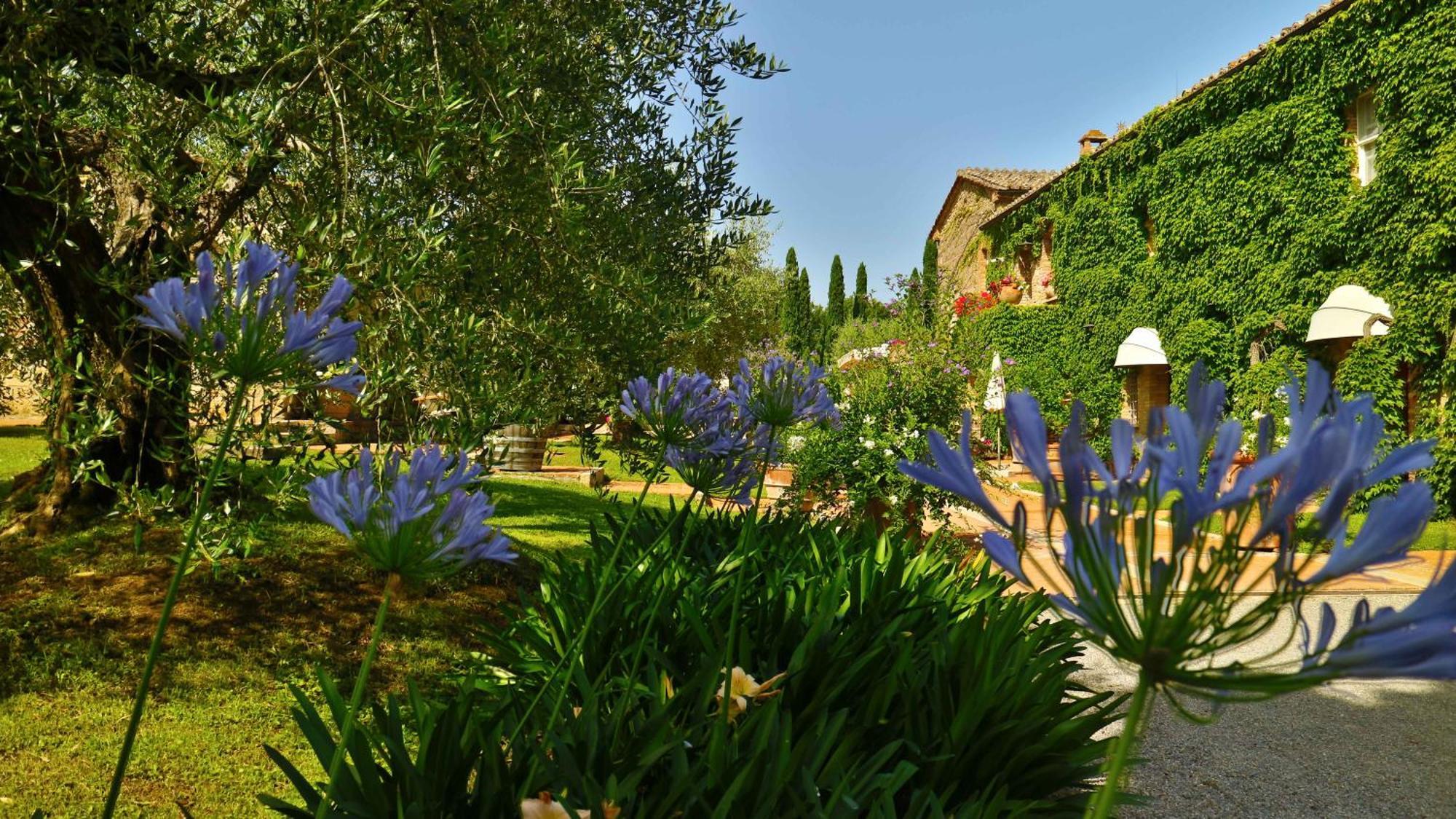 Agriturismo La Sovana Sarteano Exteriör bild