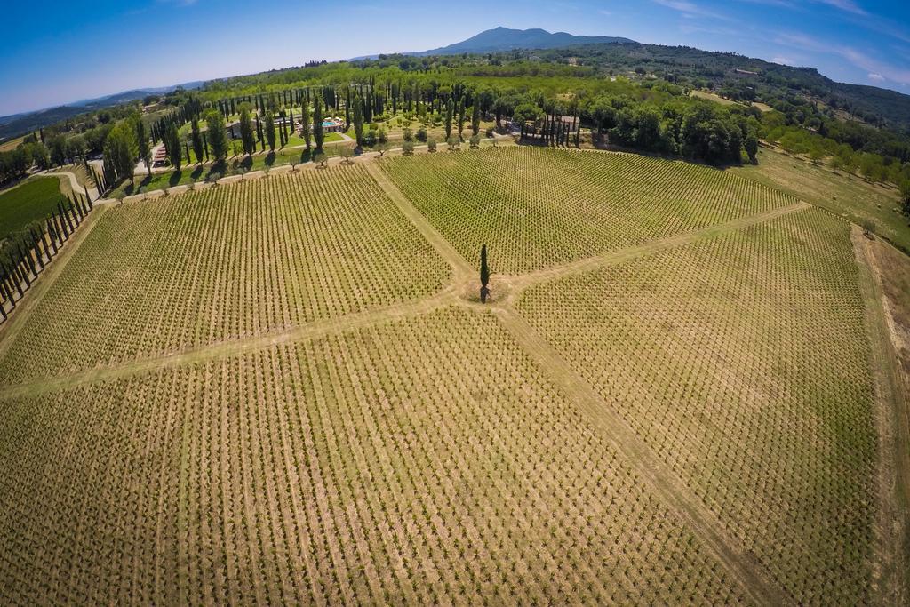 Agriturismo La Sovana Sarteano Exteriör bild